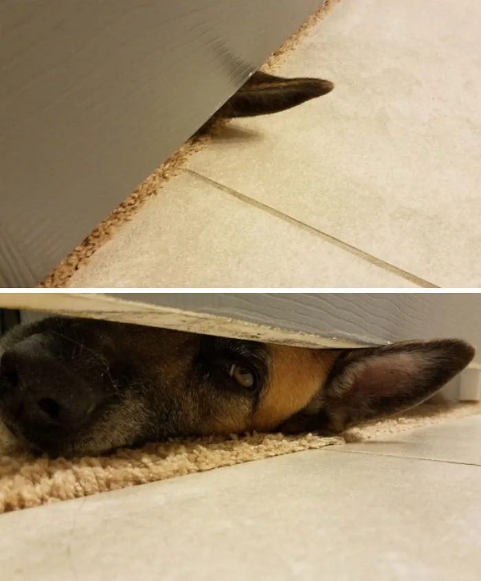 Whenever I Take A Shower