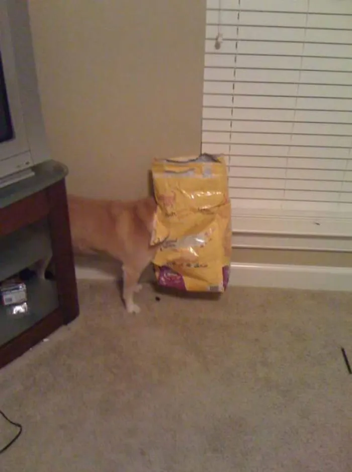Who Knows How Long She Was Like This