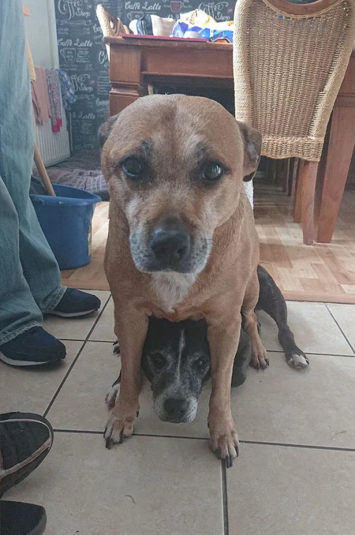 When You Tell The One With No Concept Of Personal Space To Sit