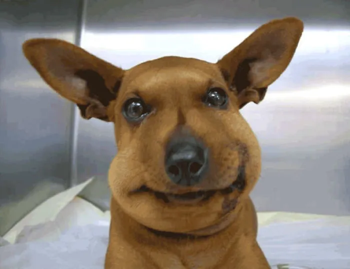 I Wuth Jutht Snithin Awoun Da Futhin Buthes When Deeth Beeth