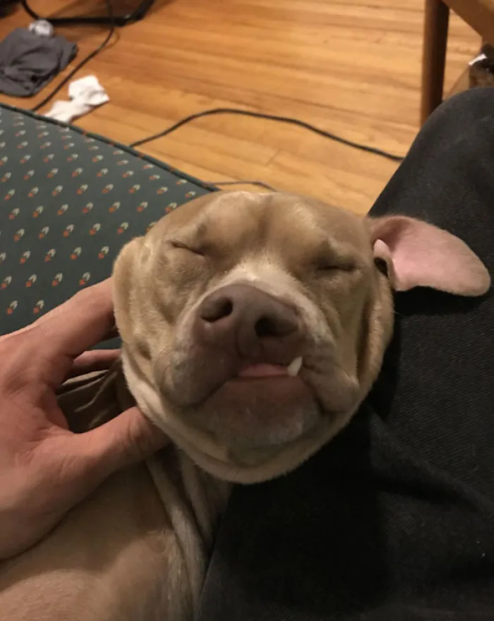 He Melts Sometimes