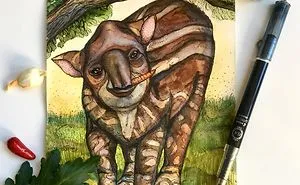I Use Watercolor And A Black Pen To Create Illustrations That Inspire People To See The Beauty Of Nature
