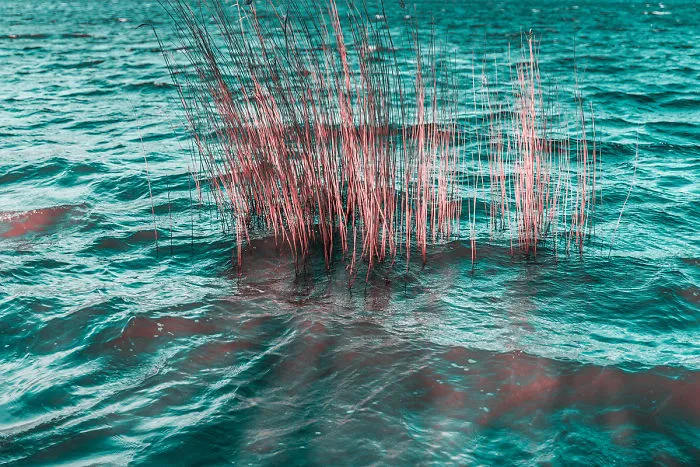 Paolo Pettigiani Uses Infrared Photography To Give Us A Different View Of The World