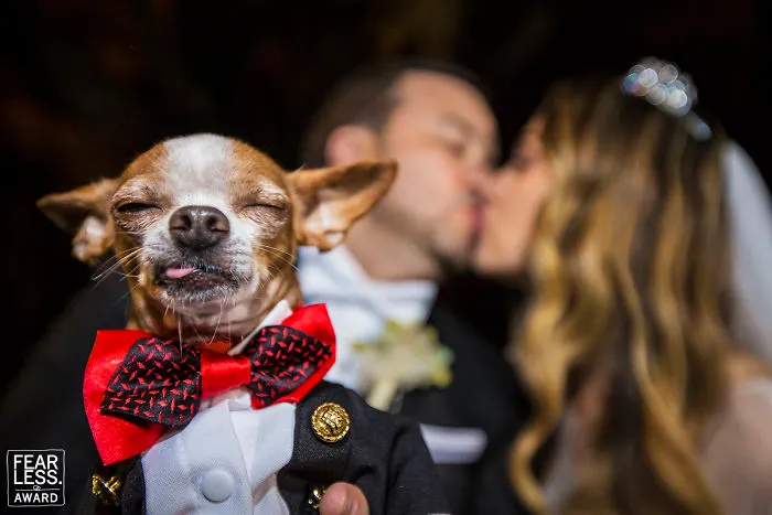 Las mejores fotos de bodas de 2018 muestran lo que ocurre cuando pagas a un buen fotógrafo