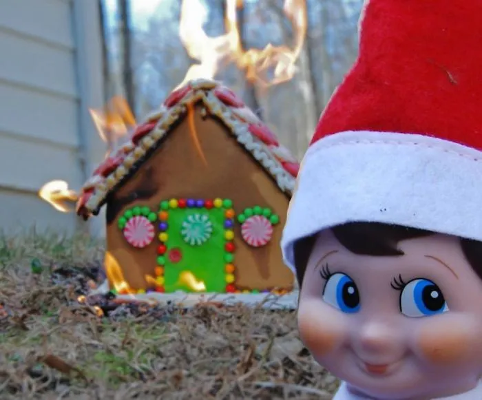 One Of My Mom's "Elf On The Shelf" Photos