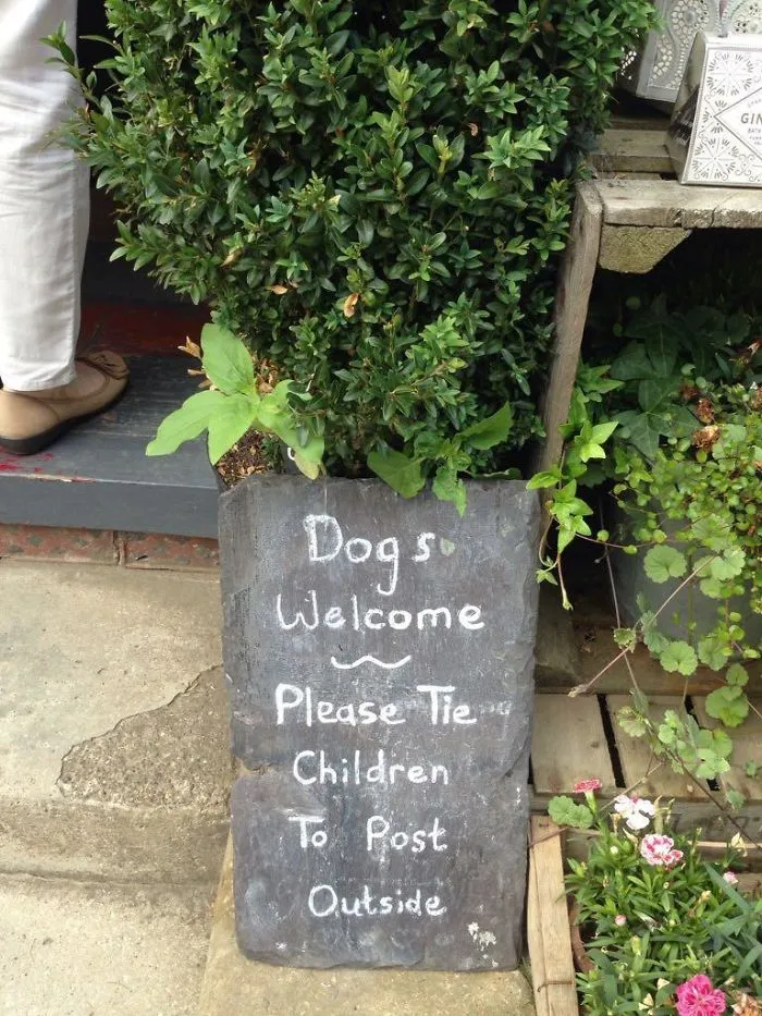 Saw This Near Robin Hood’s Bay