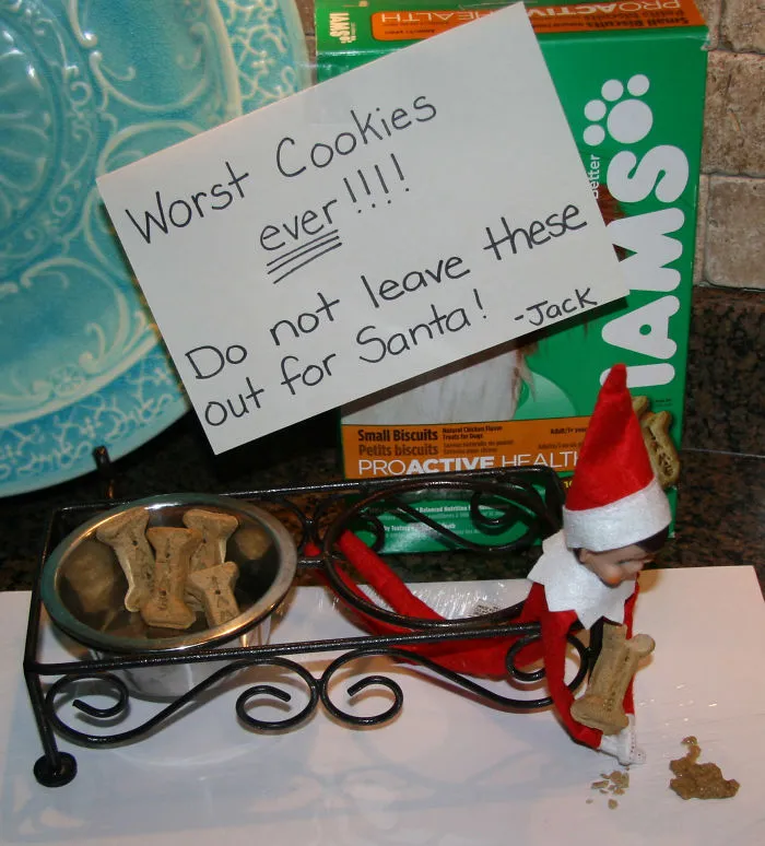 Elf On The Shelf holding a dog biscuit near pet bowl with sign warning Santa about worst cookies ever.