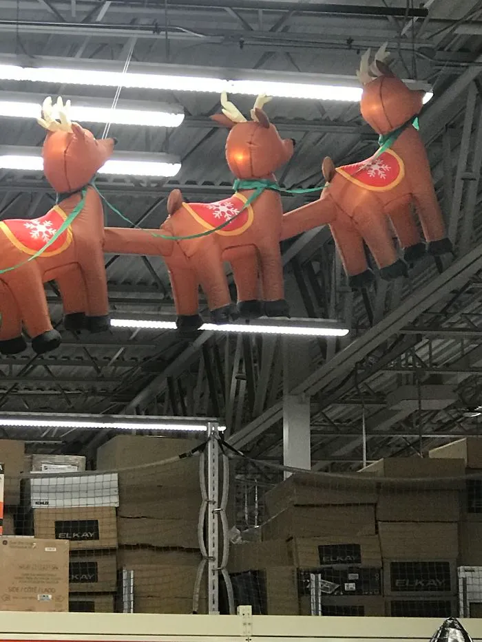 Estos renos se lo pasan mejor que yo
