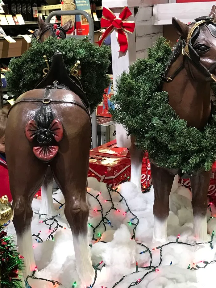 El lazo en el culo de este caballo le hace parecer que tiene terribles hemorroides