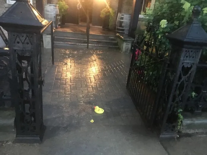 A Pub In My Town Places Rubber Ducks In Puddles To Warn Guests