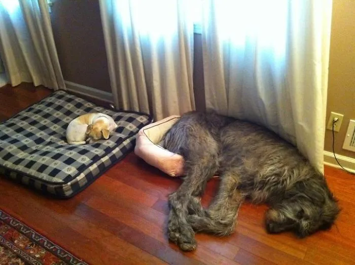 Pues tendré que dormir aquí