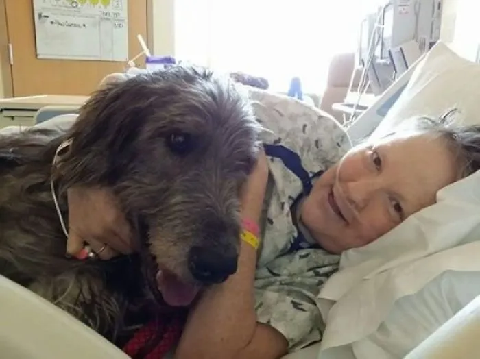 17 días después de fallecer mi madre, se fue su lobero irlandés para estar con ella. Echo de menos a ambas
