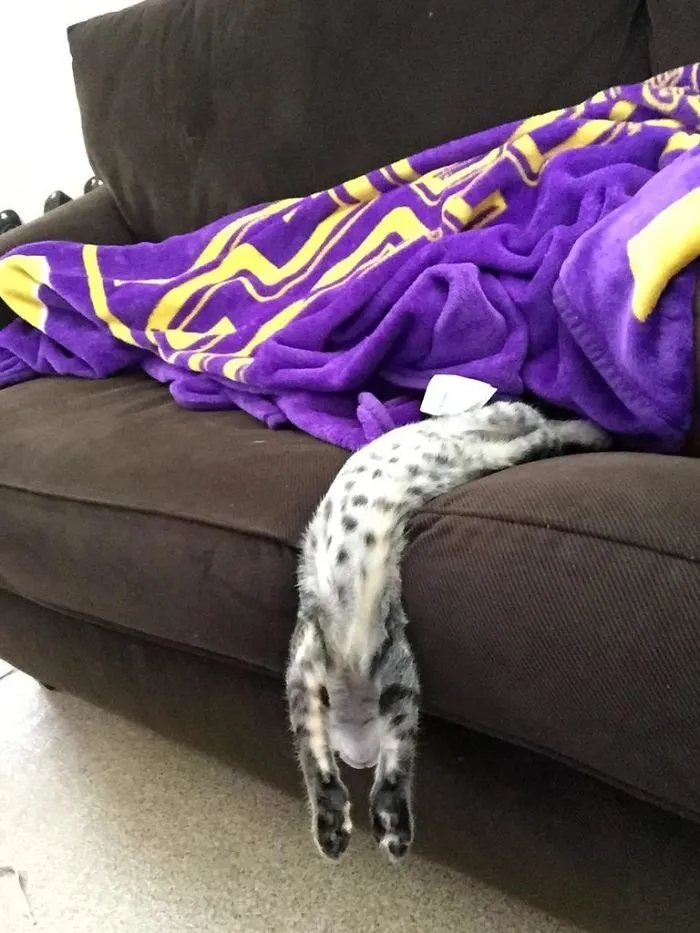Very Few Things Disturb Her Sleep