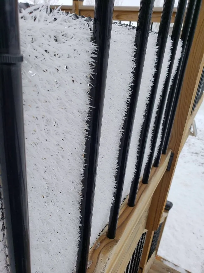 The Way The Frost Formed On The Screen Around My Deck