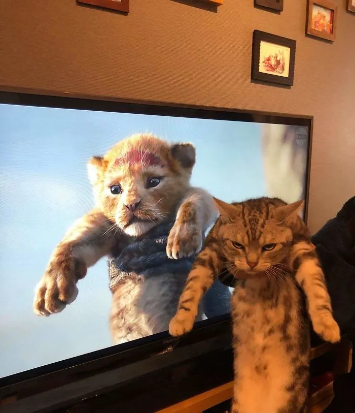 Película vs Vida real