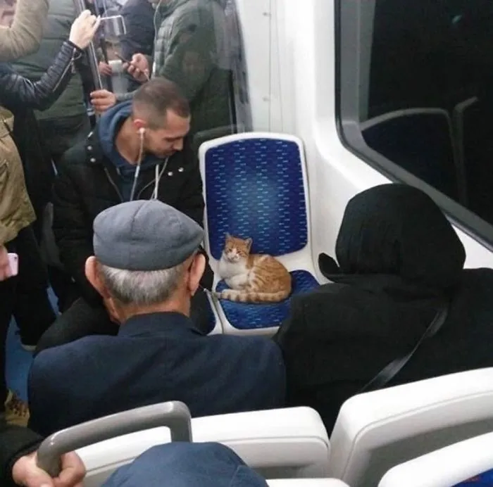 Un autobús cualquiera en Estambul