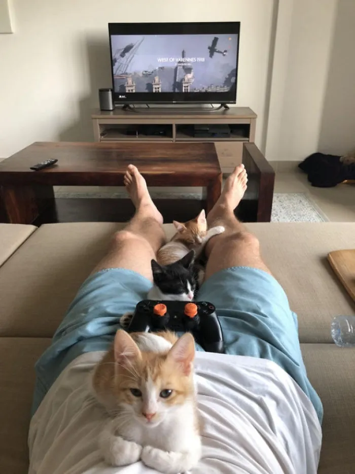 Well, I Guess I May As Well Cancel My Plans For The Day. I'm Not Going Anywhere