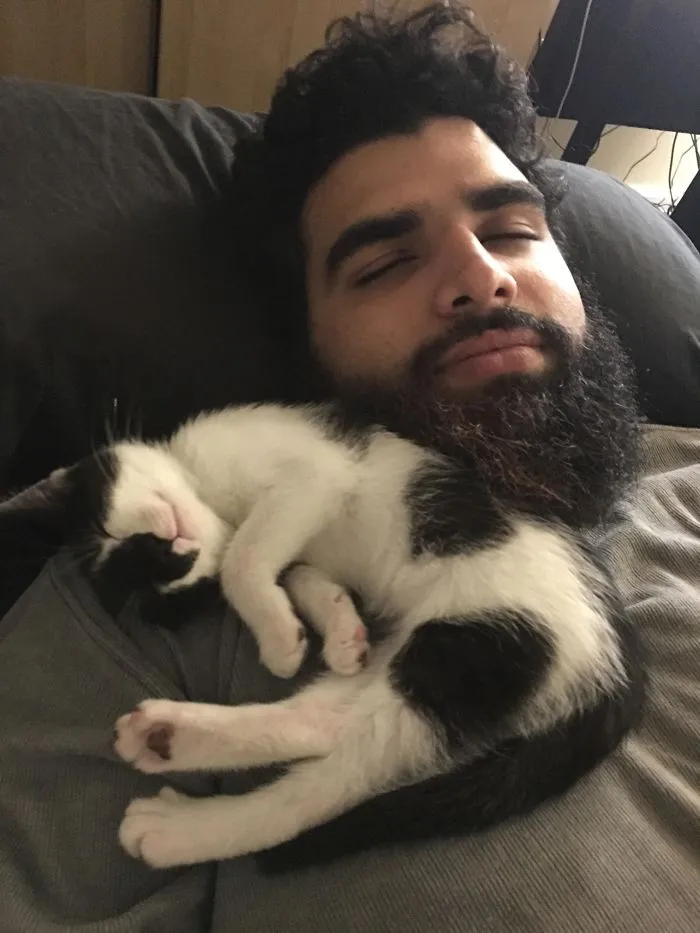 Ive Been Allergic My Whole Life To Cats. Ive Finally Built Up Enough Of An Immunity Through Injections. Reddit, Please Welcome My First Rescue Kitty, Legolas