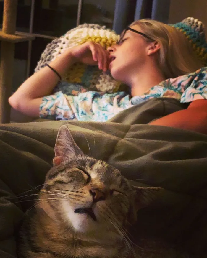 Mi novia y el gato, cazando moscas