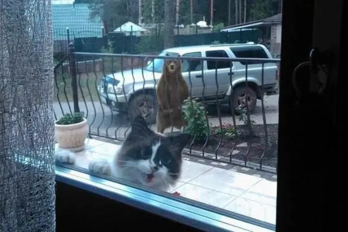 "Sandra Can You Open The Door Bit Of A Situation Here"