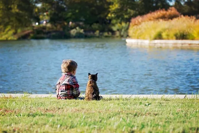 My Son Has Loved My Cat Since The Day He Was Born. She Tolerates That Love In A Way I Never Thought Possible