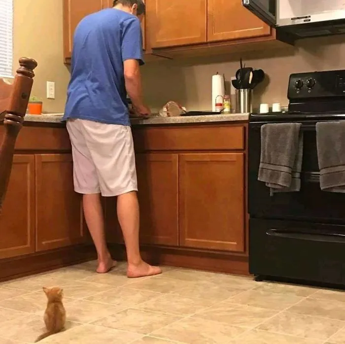 Waiting For Food