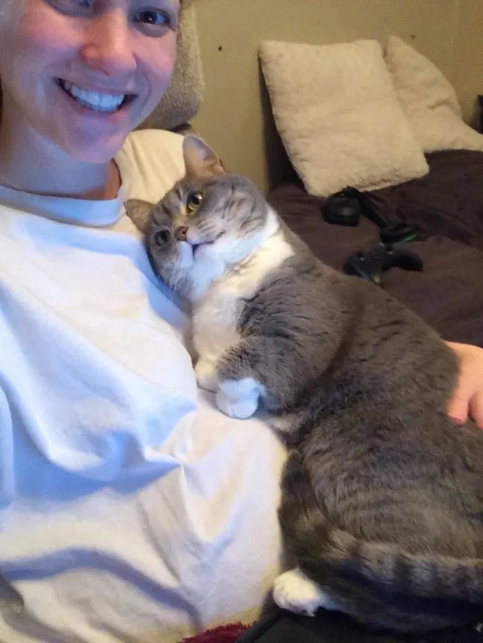 Mi gato adora el embarazo de mi esposa