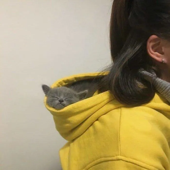 So Smol. So Smug