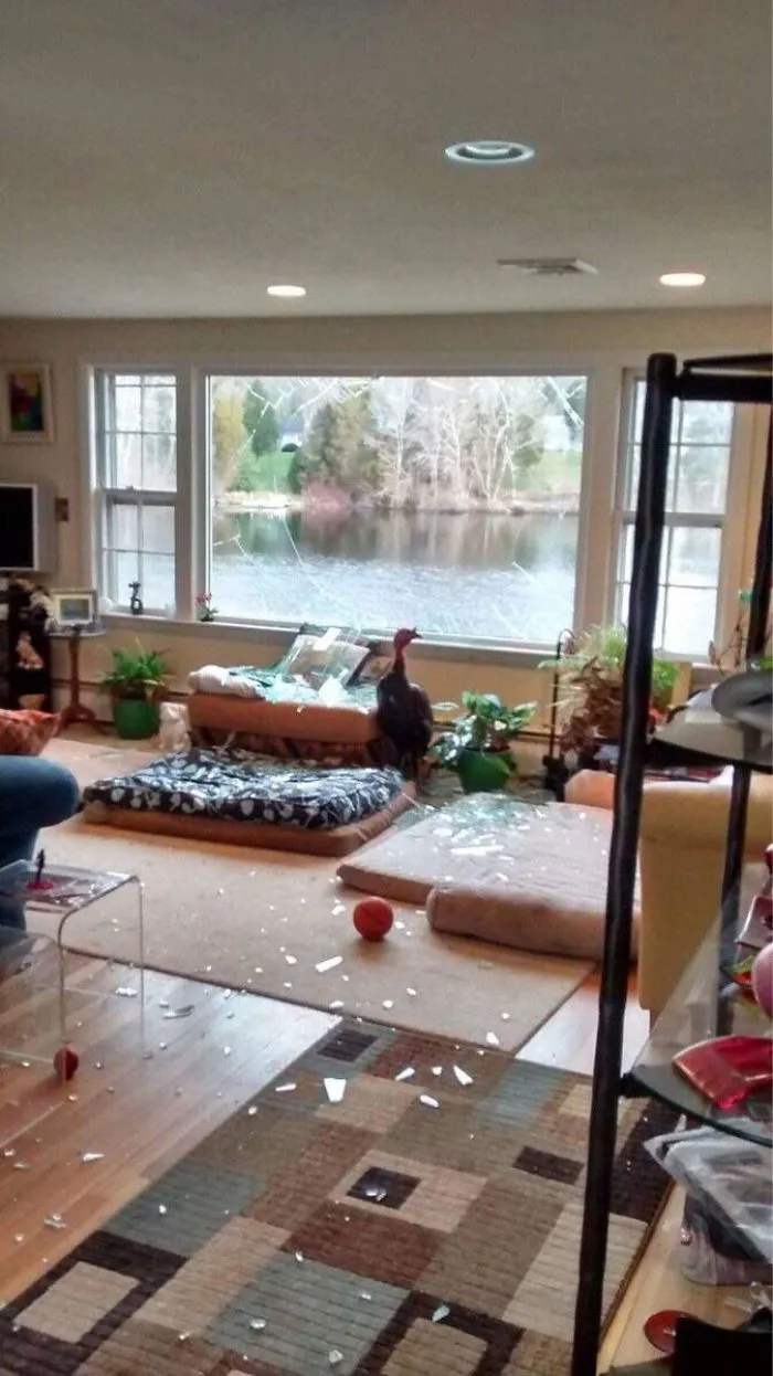 Windows Has Encountered A Problem With Turkey.exe