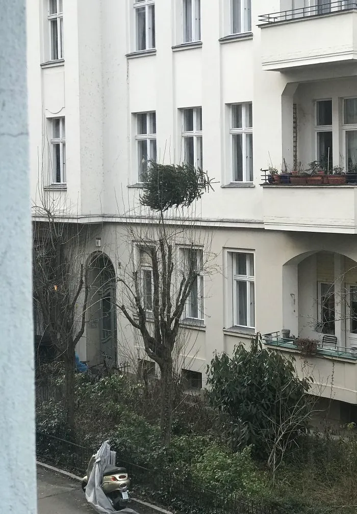 Neighbor Just Tried To Throw His Christmas Tree From The Balcony. Not Sure Where It Should’ve Landed Ideally