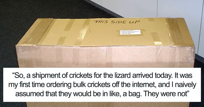 Man Accidentally Unleashes 250 Crickets In His House And People Are In Tears With Laughter