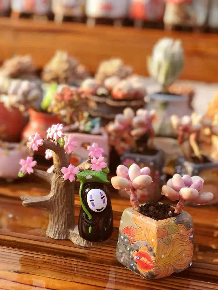Cute Little Succulents，love The Colors On This