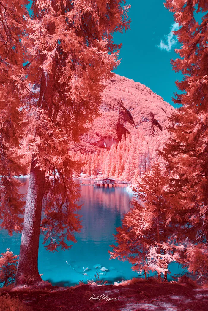 Paolo Pettigiani Uses Infrared Photography To Give Us A Different View Of The World