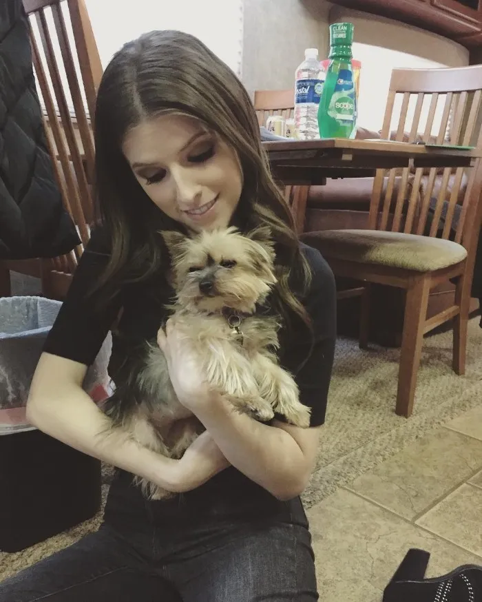 25 Times Anna Kendrick Proved She's A Real-Life Disney Princess