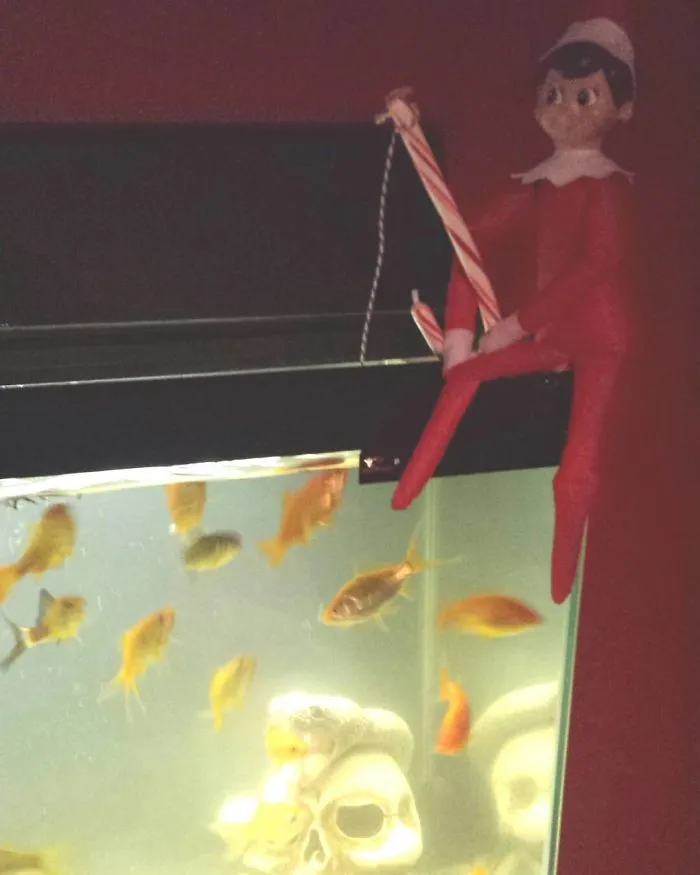 Pescando la cena