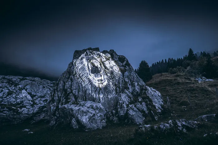 Bear On The Rock