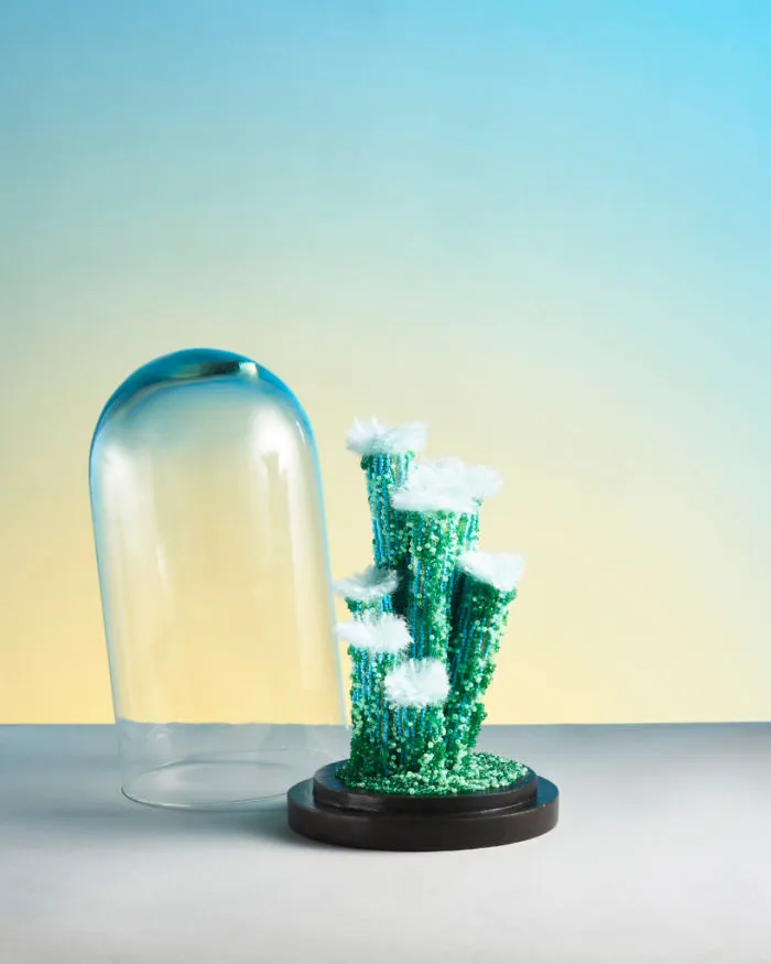+10 Exquisite Handcrafted, Encased Coral Artworks By French Artist That Are Impossible To Resist.