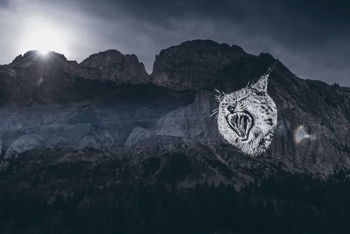 The Full Moon Lynx