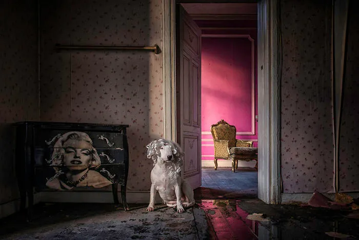 Marilyn