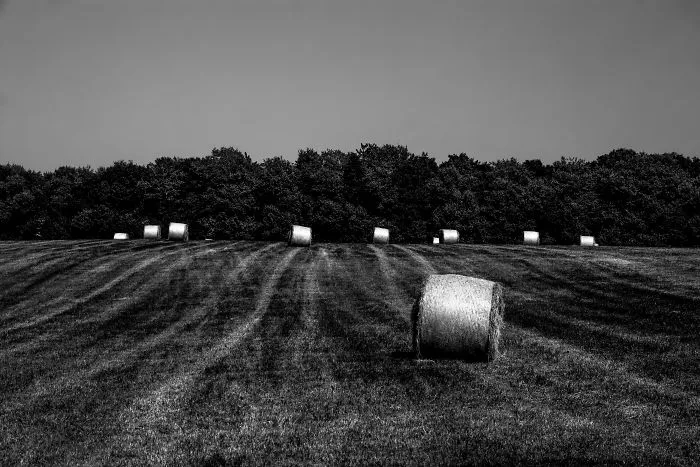 I Love To Escape With My Camera (Part 2)