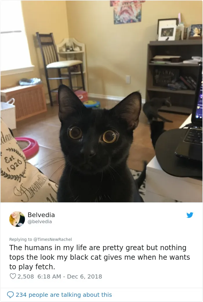 If You Haven't Smiled Today, Read This Twitter Thread Of People Sharing What They Love In Others