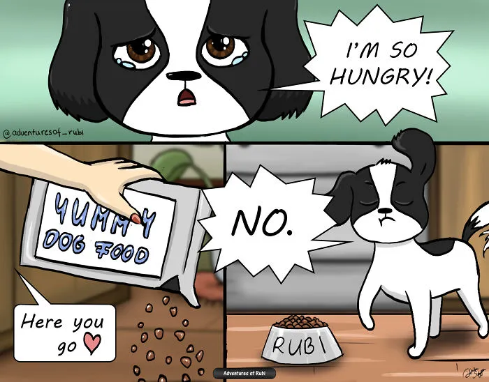 My 29 Comics That Every Dog Owner Will Understand