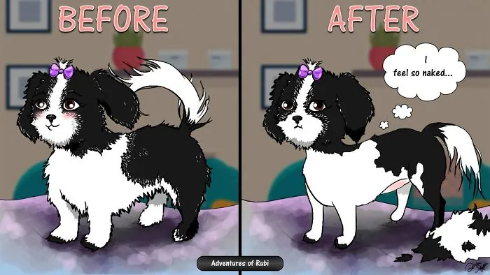 My 29 Comics That Every Dog Owner Will Understand