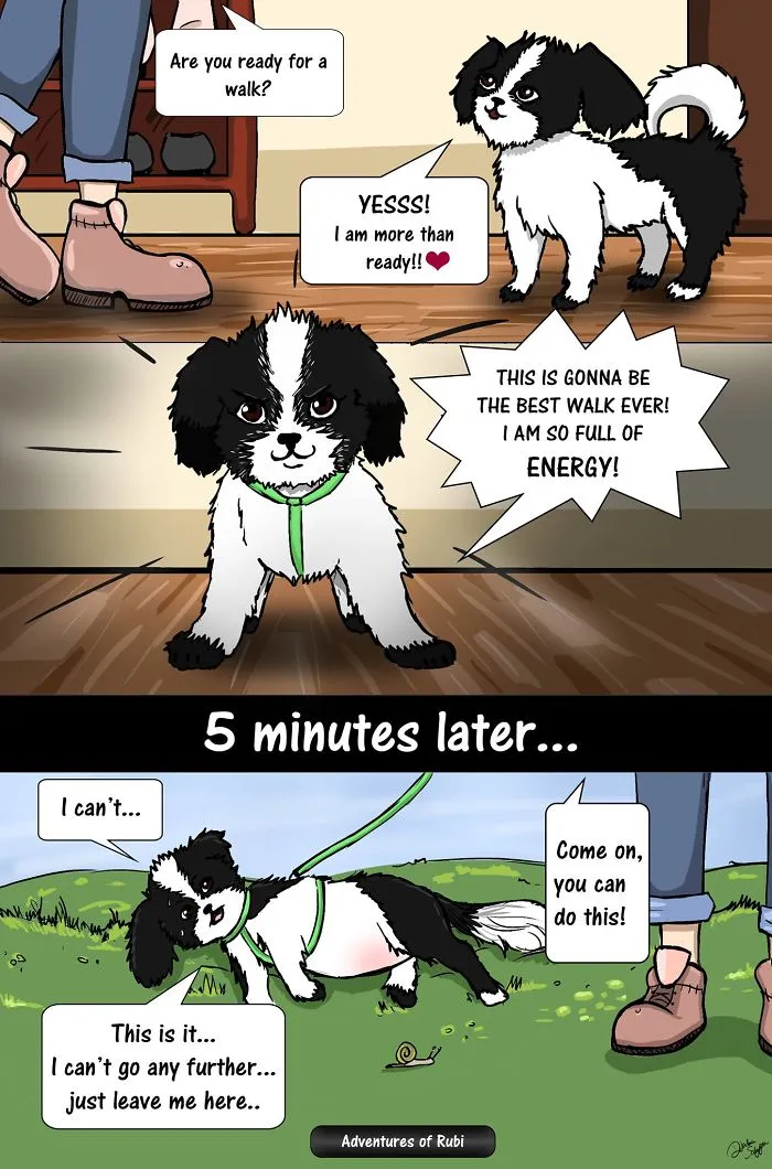 My 29 Comics That Every Dog Owner Will Understand