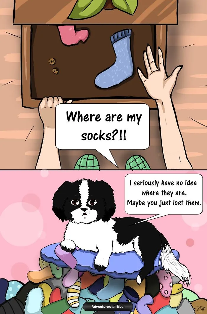 My 29 Comics That Every Dog Owner Will Understand