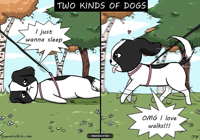My 29 Comics That Every Dog Owner Will Understand