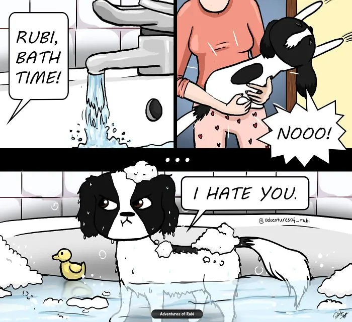 My 29 Comics That Every Dog Owner Will Understand