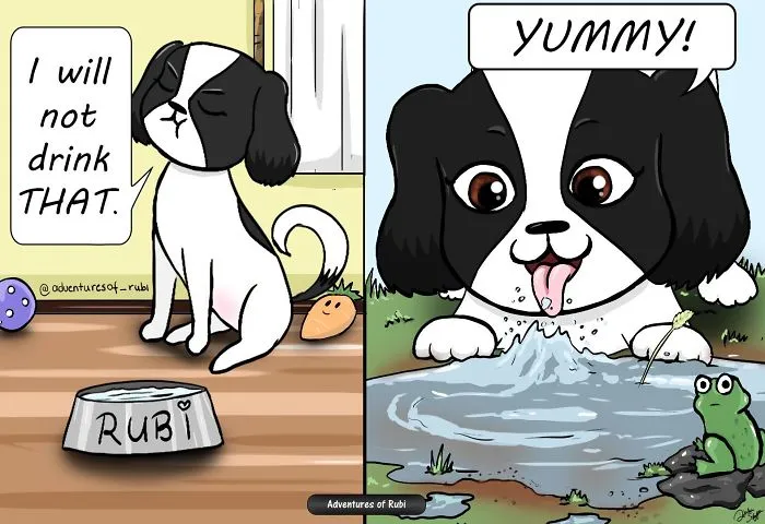 My 29 Comics That Every Dog Owner Will Understand