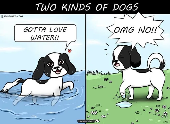 My 29 Comics That Every Dog Owner Will Understand