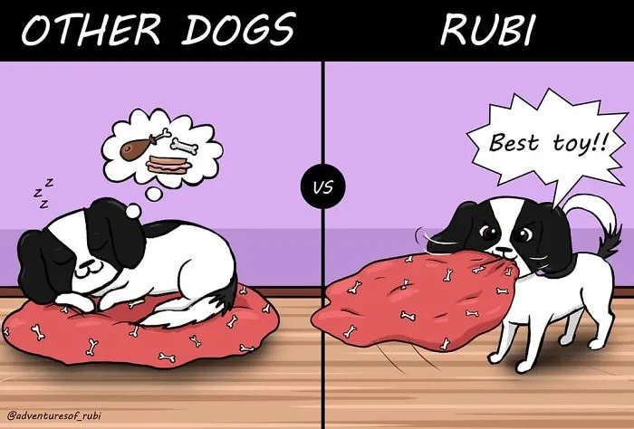 My 29 Comics That Every Dog Owner Will Understand
